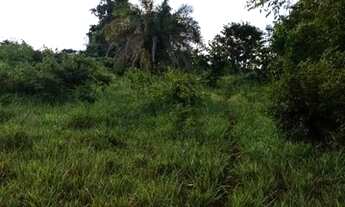 Imagem 3: Fazenda para venda tem 51 Alqueires em Zona Rural - Uruana - GO