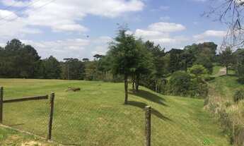 Imagem 4: Galpão, 800 m² - venda por R$ 2.500.000,00 ou aluguel por R$ 14.000,00/mês - Loteamento It