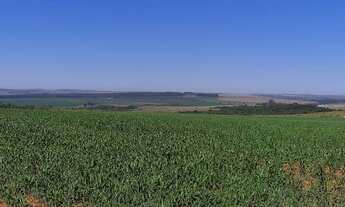 Imagem 4: Fazenda DF 260 !!! 29.700.000 !!!