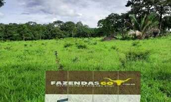 Imagem: Fazenda Extra - 40 Alqueires ! Região de