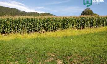 Imagem 3: Sítio com 3 dormitórios à venda, 250000 m² por R$ 1.650.000,00 - Centro - Rio do Campo/SC