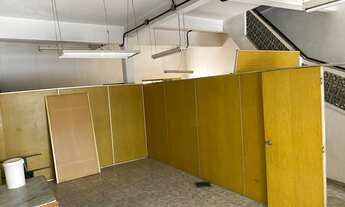 Imagem 4: Casa em pinheiros