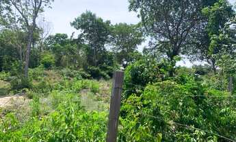 Imagem 4: Terreno no pajuçara Santarém pa