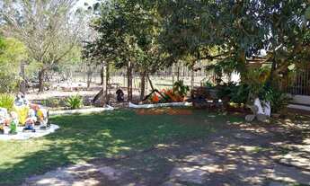 Imagem 6: Oportunidade Sítio com 5 dormitórios à venda, 33000 m² por R$ 1.300.000 - Pegorelli - Cara