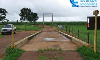 Imagem 5: Fazenda em Monte Alegre de Minas - MG com 74,30 hectares, ou seja, 15,35 Alqueires