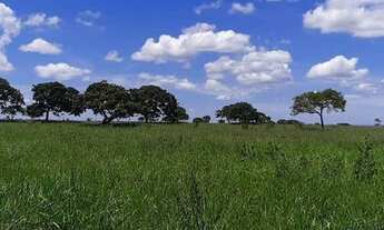 Imagem 6: Belíssima Fazenda Unaí !!! 4.000.000 !!!