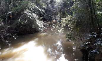 Imagem 6: COD:1745 Área de 12.000 m² em Congonhal