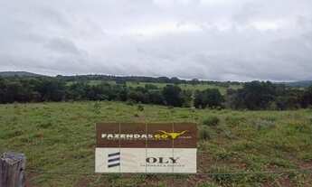 Imagem 2: Oportunidade Extra ! Fazenda em Uruaçu ! 104 Alqueires !