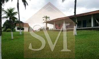 Imagem 7: Rio de Janeiro - COMERCIAL - Jaqueira