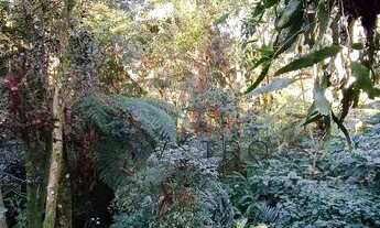 Imagem 3: Terreno no bairro Lago Negro em Gramado!