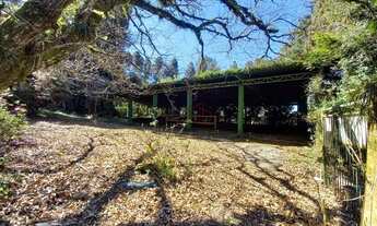 Imagem 7: Terreno no bairro Alpes Verdes em Canela!