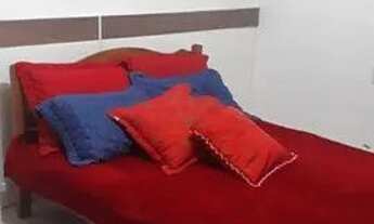 Imagem 7: Sobrado com 2 dormitórios para alugar, Alto Feliz - Araranguá/SC Ótima casa bem localiza