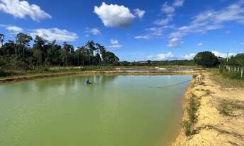 Imagem 2: Vendo sítio na estrada de novo airão, fica 130 km de Manaus