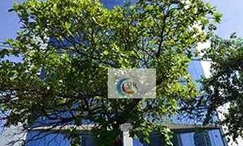 Imagem 2: Conjunto para alugar, 408 m² - Brooklin - São Paulo/SP