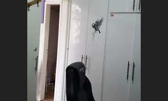 Imagem 6: Apartamento à Venda - Liberdade, 2 Quartos, 46 m2