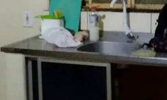 Imagem 3: Aluguel Casa com 1 dormitório