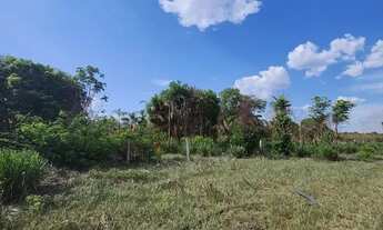 Imagem 4: Vende-se chácara com 20.800m2 no bairro Nova Esperança em Cuiabá MT