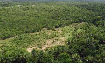 Imagem 4: Vendo fazenda próximo a Palmas TO