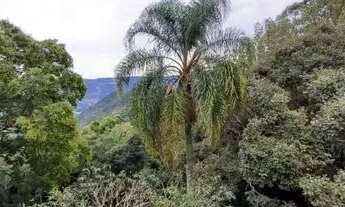 Imagem 6: Casa com três dormitórios. bairro juriti , Nova Petrópolis RS! REF: 919