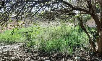 Imagem 4: Casa no Mingone Casa com 2 dormitórios