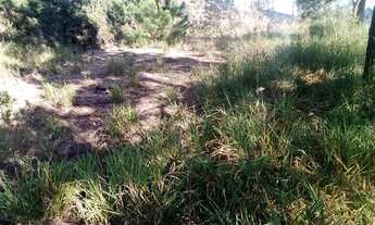 Imagem 3: Campo limpo paulista com 642 m2 ótima topografia $30.000 de entrada+ 60 parcelas de $850