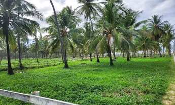 Imagem 5: Condomínio Country Mar