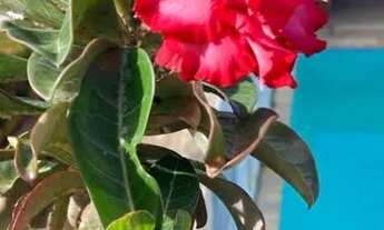 Imagem 2: Casa em paripueira