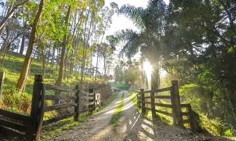 Imagem 6: Campo Largo, 52 alqueires / Confinamento Gado/ Haras