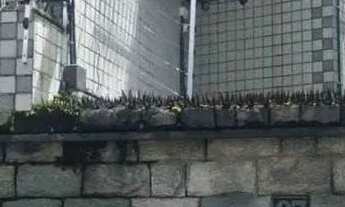 Imagem 5: Vendo Casa Casa com 4 dormitórios