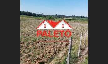 Imagem 4: Sítio 21 mil metros quadrados terra vermelha a venda na cidade de Quadra interior de SP