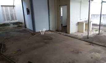 Imagem 5: Casa - Cambuí - Campinas