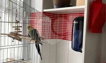 Imagem 7: Apartamento à venda 2 quartos com 70m²au no bairro Casa Verde em São Paulo