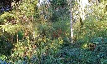 Imagem 5: Terreno no bairro Lago Negro em Gramado!