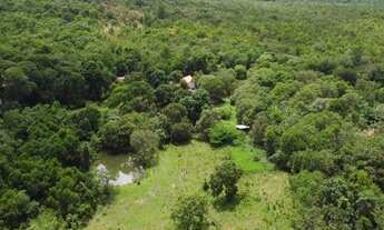 Imagem 2: Vendo fazenda próximo a Palmas TO