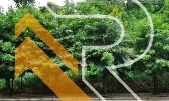 Imagem 6: À venda 03 lotes aclive com 1.350m² em Piratininga, Região Oceânica - Niterói- RJ