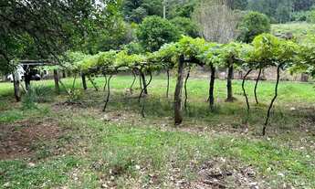 Imagem 2: Chácara 14 hectares, potreiro, roças, frutíferas,3 açudes