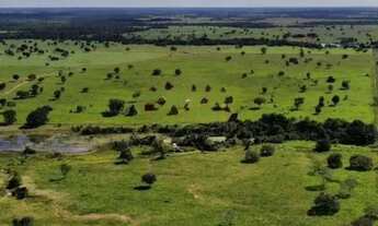 Imagem 5: Fazenda de 721 alqueires em São Miguel do Araguaia-Go