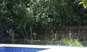 Imagem 2: Você procura um sitio bem cuidado com piscina, pomar maravilhoso, terra boa para plantio?