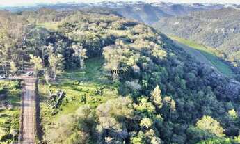 Imagem 6: INBOX CIA IMOBILILIÁRIA VENDE EM PINTO BANDEIRA - Área de terras com 2 hectares em Pinto B