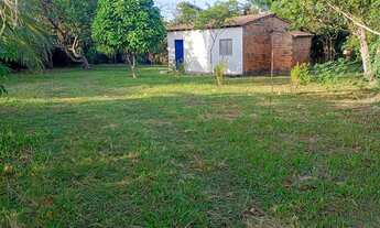 Imagem: Vendo um sítio e uma casa no porto do mocagituba