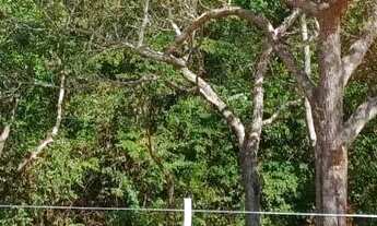 Imagem 5: Imóvel para venda com 885 metros quadrados em Setor Habitacional Jardim Botânico - Brasíli