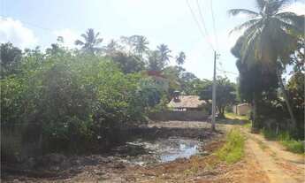 Imagem 7: Sua Oportunidade de Investimento em Maragogi!