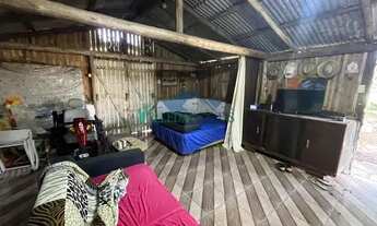 Imagem 6: Velleda oferece magnífico sítio plano com frutíferas - Aceita caminhão como parte do negóc