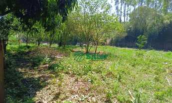 Imagem 7: Terreno à venda, 525 m² por R$ 49.000,00 - Morungava - Gravataí/RS