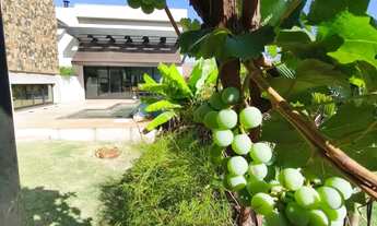 Imagem 7: Sobrado para venda possui 405 metros quadrados com 3 quartos