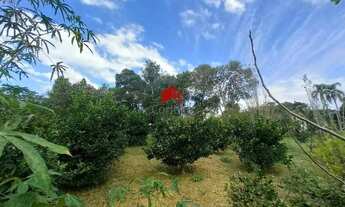 Imagem 5: Chácara com 8.233,67m² 2 quartos, à venda, no bairro Área Rural (Quatro Pinheiros) em Mand