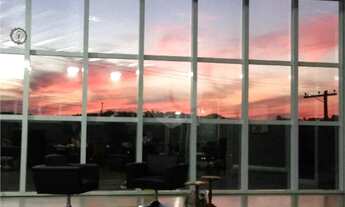 Imagem 2: Galpão à venda em Nova Trieste - SP