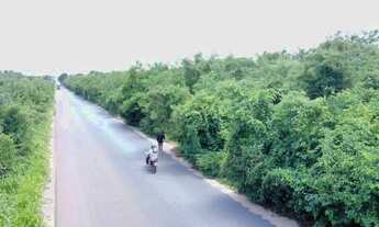 Imagem 5: Terreno a venda na Avenida Nicanor Barreto, Vale Quem Tem. 100,00x500,00!