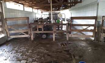 Imagem 4: Chácara à Venda com 8,5 Alqueires em Corumbaíba GO