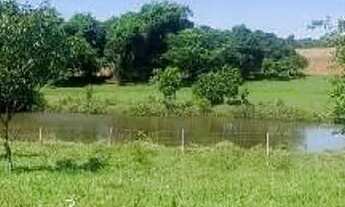 Imagem 4: VENDE- Sítio chácara 4,84 ha 10 km de Uberaba sentido BR-427 saída Água Comprida